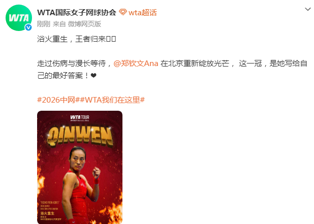 bw西汉姆联介绍图片